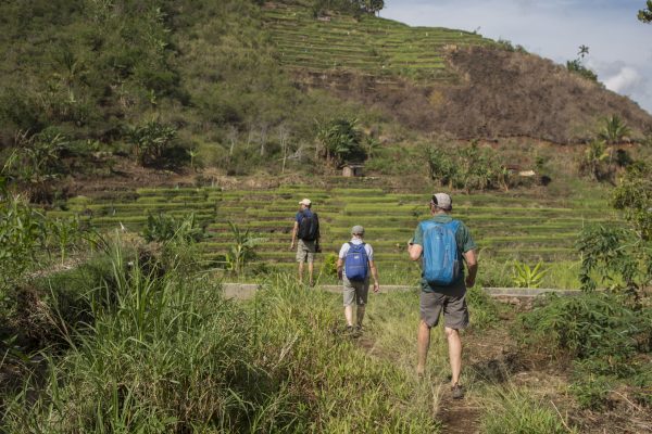 Trekking in Ruteng
